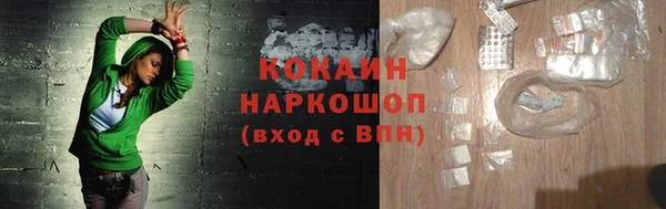 ПСИЛОЦИБИНОВЫЕ ГРИБЫ Арсеньев