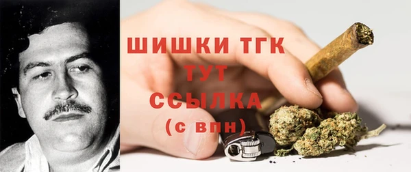 ПСИЛОЦИБИНОВЫЕ ГРИБЫ Арсеньев