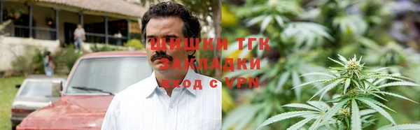 ПСИЛОЦИБИНОВЫЕ ГРИБЫ Арсеньев