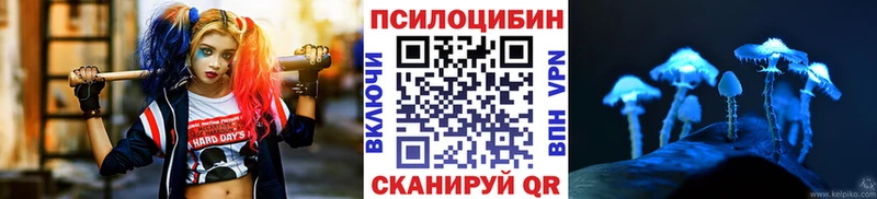 Галлюциногенные грибы Psilocybe  блэк спрут маркетплейс  Куйбышев 